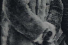 Knut Paul Olsson
Farfars kusin