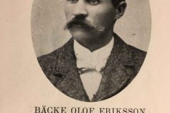 Backe-Olof-Julius-Ersson-scaled